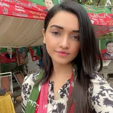 Sanam Javed Khan Re-Arrest, Husband, Age, Family & Biography