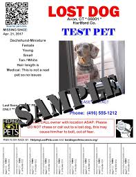 Inform your friends & family that the dog is lost so they can help you look for him. Facebook Archives Lost Dogs Of America