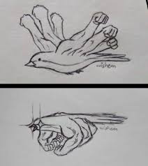 Swolebird The Max Pr Holder At 400lbs Bossfight Meme Engracado Coisas Engracadas Memes Engracados