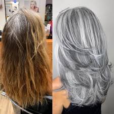 Diverse and vibrant, layered hair is a fantastic choice to give a twist to your casual hairstyle. 50 Gray Hair Styles Trending In 2021 Hair Adviser