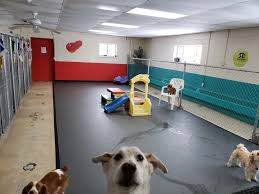 100m consumers helped this year. Five Walt Disney World Businesses To Know Mickeyblog Com