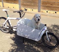 Bullitt Electric Assist Cargo Bike Review Cargo Bike Biking With Dog Bike Reviews