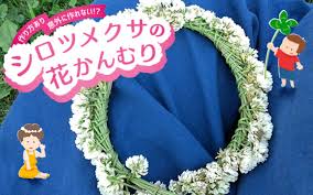 花かんむりの作り方。子どもと一緒にシロツメクサで作ろう！【昔ながらが”今”楽しい！レトロアートレシピ Vol.6】｜ウーマンエキサイト
