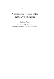 Image result for Orthopichonia schweinfurthii