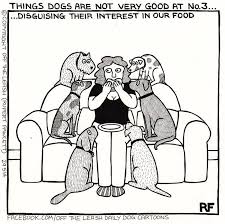 See more ideas about cartoon images, cartoon, cartoon dog. 94 Hilarious Comics About Life With Dogs By Off The Leash Bored Panda
