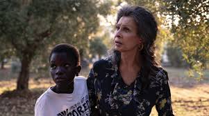 Because of this, we know that while netflix us may have a larger catalog of titles, netflix canada actually has a larger catalog of good titles. Best Foreign Films On Netflix Top International Films To Watch Complex