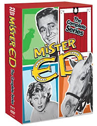 We did not find results for: Amazon Com Mister Ed The Complete Series Alan Young Connie Hines Arthur Lubin Movies Tv Mister Ed Best Television Series Alan Young