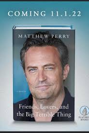 Fans of HBO The Gilded Age series