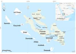 Image result for Kyllinga merxmuelleri