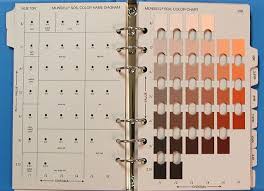 Colbydigssoil Com The Art Of Soil Color The Soil Will