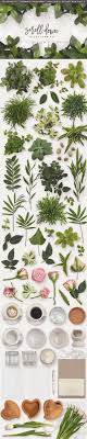 Scene Essentials Plants Flowers Planting Flowers Plants Flowers