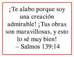 Though the bible is a religious text, it is also there are many important bible passages that are frequently quoted, including many verses in the book of genesis, which describes. Spanish Bible Verses Worksheets Teaching Resources Tpt
