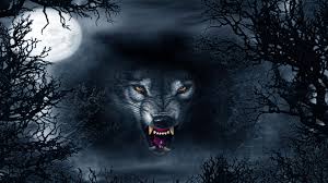 Maybe you would like to learn more about one of these? Evil White Wolf Wallpapers Top Free Evil White Wolf Backgrounds Wallpaperaccess