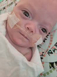 Baby girl crib bedding and accessories for free