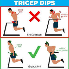 Tricep Dips Chest Dips Musculation Sport Musculation