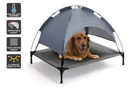 The bed has a feather pillow and a blanket. Dick Smith Nz Pawever Pets Elevated Pet Bed With Uv30 Canopy Pet Supplies Dogs Beds