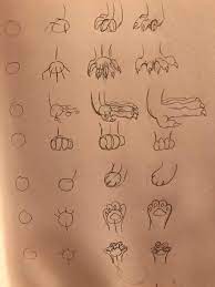 When you know what a given bird does for a living, you'll know what feet to draw without looking for references! How To Draw Various Animal Feet Art Amino