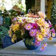 Thank You Mum Chrysanthemum Flower Arrangement Chrysanthemum Flower Flower Arrangements