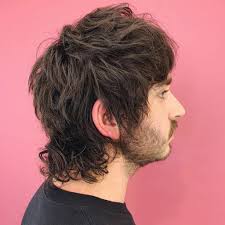 The best mullet haircut ideas, how to style it, the history of this hairstyle, all the celebrities wearing it, and the products you need to maintain it! How To Grow A Mullet Haircut 10 Ways To Wear It 2020 Update