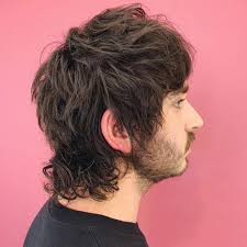 However, the oxford english dictionary credits the first use of the phrase to the beastie. How To Grow A Mullet Haircut 10 Ways To Wear It 2020 Update