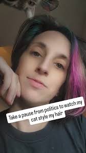 Cats are too funny #cat #funnyanimals #pet #hair #style