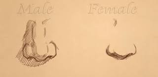 Mister wright fine wines has been the best wine store on the upper eastside for over 35 years. How To Draw Different Types Of Noses