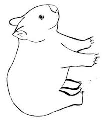 Revamp your kitchen with an undermount sink from the biggest brands in the business, including rangemaster, reginox and more. 31 Australia Ideas Animal Coloring Pages Australian Animals Coloring Pages