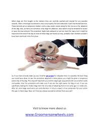 Before it was more dogs that went to finding cat grooming near you is as easy as doing a search online. Dog Grooming Places Near Me Cheaper Than Retail Price Buy Clothing Accessories And Lifestyle Products For Women Men