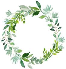 Size 8 х 8 (2400х2400 px) Greenery Wreath Png Transparent Images Free Png Images Vector Psd Clipart Templates