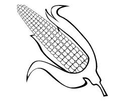 Corn coloring page illustrations & vectors. Corn Coloring Pages