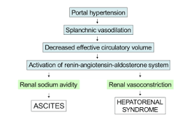 Hepatorenal Syndrome Wikipedia
