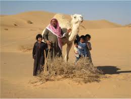 Des dromadaires et des hommes au Moyen-Orient in: Anthropology of the  Middle East Volume 11 Issue 1 (2016)