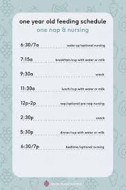 15: 12 Month Old Feeding Schedule - Mama Knows Nutrition