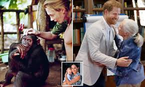 , 123 movies , jane goodall the hope 720 watch online My Revealing Chat With Harry Jane Goodall Tells Why She Wasn T Surprised When He Gave Up His Role Daily Mail Online