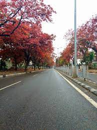 Roads In Chandigarh Picsart Background Background Chandigarh