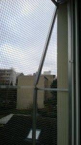 Der Katzenbalkon Kann Ohne Bohren Befestigt Werden Katze Balkon Katzen Und Balkon Katzensicher