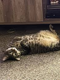 Pretty neat! Little by little starting to look good