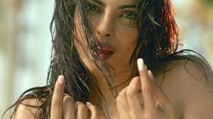 संबंधित चित्र