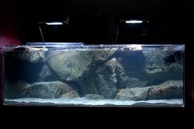 Diy Background Aquarium Backgrounds Aquarium Nature Aquarium