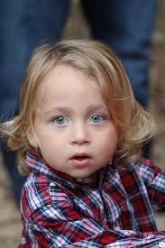 Western NC , maybe in the Holly family?