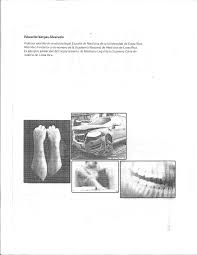 Maybe you would like to learn more about one of these? Medicina Legal Vargas Pdf Txt