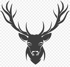 Hirsche Schablone Zeichnen Horner Png Herunterladen 3504 3336 Kostenlos Transparent Elch Png Herunterladen