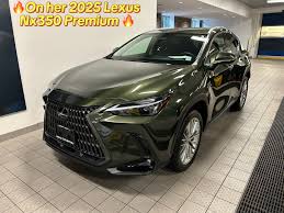 Image result for Nori Green 2025 LZ