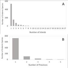 Image result for Crepidorhopalon parviflorus