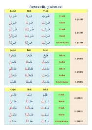 Arapca Mazi Fiil Cekimi Tablosu Araba Arapca Dili Egitim
