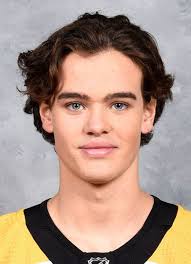 Axel Andersson (b.2000) Hockey Stats and Profile at hockeydb.com