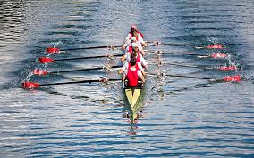 We did not find results for: Kayak Vs Aviron Les 5 Principales Differences