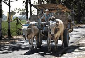12 Alat Transportasi Darat Tradisional Dan Modern Serta Ciri Ciri Perbedaannya Silontong