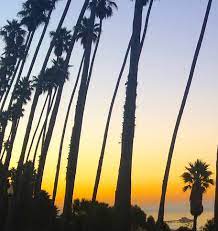 Surfers hit the waves along the coast at sunset. Where To Catch The Best Sunsets In Santa Monica Ca