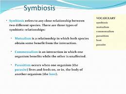 Image Result For Commensalism Mutualism Commensalism Symbiotic Relationships